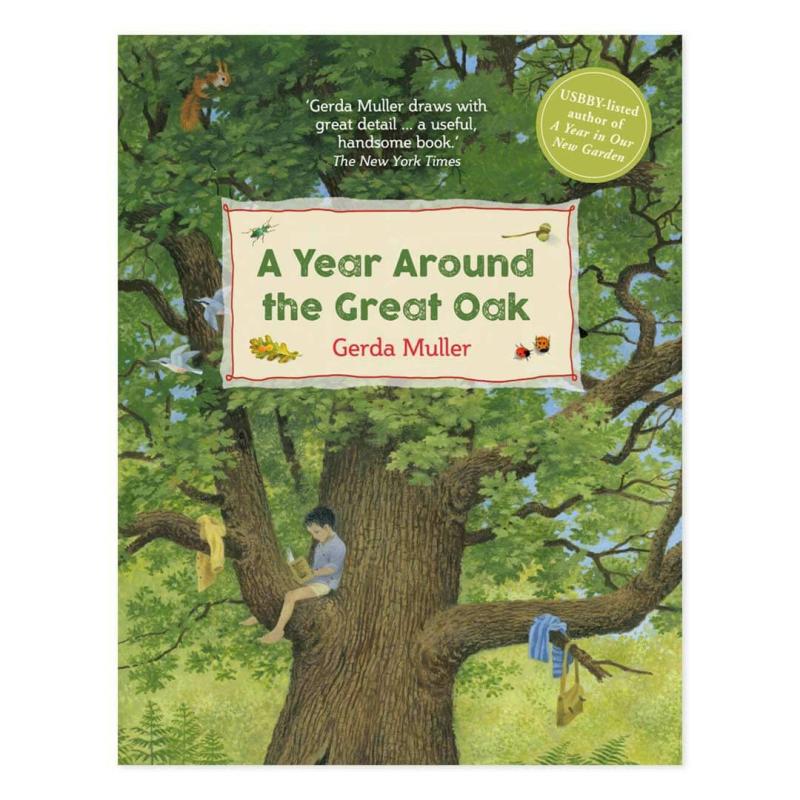 A Year Around The Great Oak Summer Nature Table