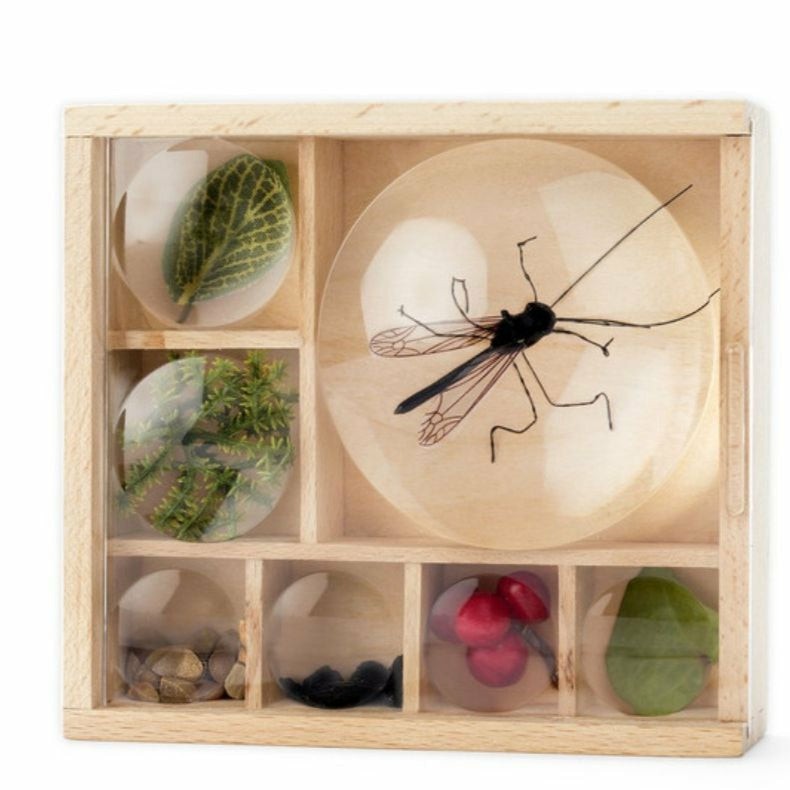 Huckleberry Bug Box Active Play