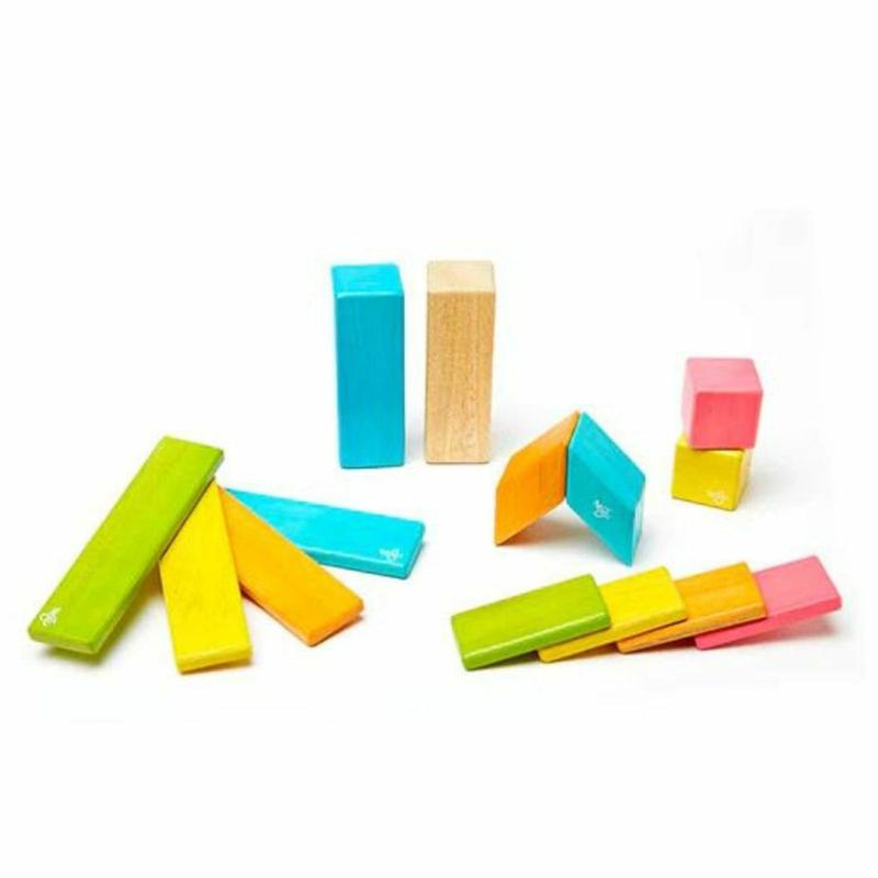 Magnetic Wooden Blocks – 14 Piece Set Tints Blocks & Building