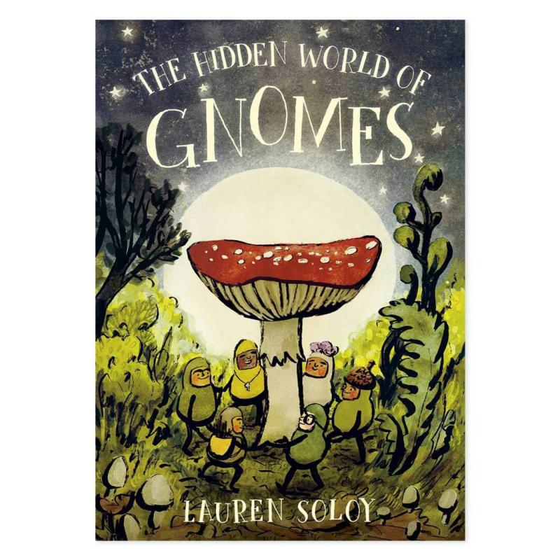 The Hidden World Of Gnomes Fairies & Gnomes